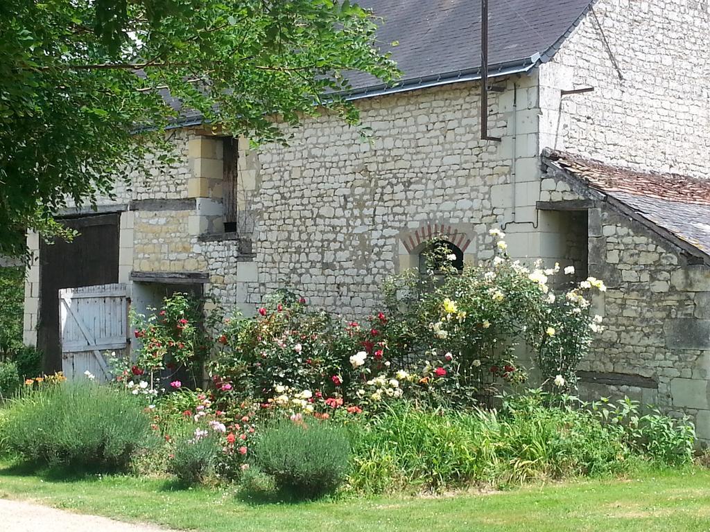 La Cle Des Jardins Bed & Breakfast Nouatre Exterior photo