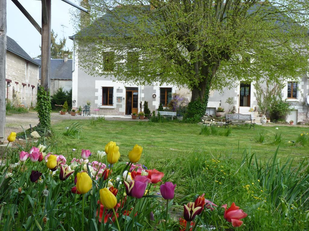 La Cle Des Jardins Bed & Breakfast Nouatre Exterior photo