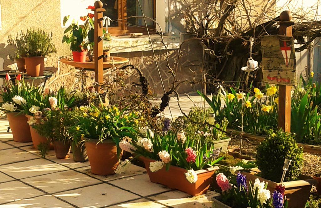 La Cle Des Jardins Bed & Breakfast Nouatre Exterior photo
